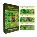 BBQ Samen Set - 9 Sorten Samen - Saatgut Sortiment - Anzuchtset für Grillkräuter - Basilikum, Thymian, Rosmarin, Oregano, Jalapeno, Salbei, Majoran, Estragon, Schnittknoblauch