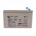 Batterie Akku AGM 12V Deep Cycle 14Ah Victron