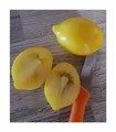 15x Zitronen Tomaten Garten Gemüse Pflanzen - Samen A114
