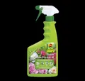 Compo Duaxo ROSEN Pilz-frei AF 750 ml Fungizid Gemüse Mehltau Rost Sternrußtau