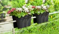 KHW Balkonkasten Flowerclip XXL (Set, 2 St), BxTxH: 57,5x27,7x27 cm, anthrazit