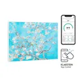 Wonderwall Air Art Smart Infrarotheizung 80x60cm 500W Wandmontage Blüten