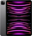 11" iPad Pro Wi-Fi space grau, 2022, Apple M2 8C10G, 256GB