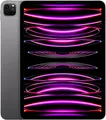 Apple iPad Pro (2022) 256GB [11" WiFi only] spacegrau