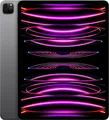 iPad Pro 2022 (M2) 11" WIFI 256GB | Batt. 91% I spacegrey I SEHR GUT I 19% MwSt.