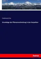 Grundzüge der Pflanzenverbreitung in den Karpathen | Buch | 9783743411975