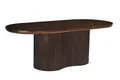 Natur24 Esstisch Sevilla Tisch 250x110x76 cm Mangoholz Natur
