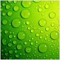 Wallario Möbelfolie selbstklebend/Aufkleber, Tischfolie geeignet für IKEA Lack Tisch - Möbeldeko Wassertropfen auf Grün in 55 x 55 cm
