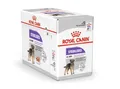 Royal Canin STERILISED Mousse | 12 x 85 g | Alleinfuttermittel für ausgewachsene und kastrierte Hunde ab dem 10. Lebensmonat | Verdauliche Proteine