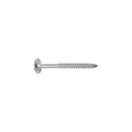 Eigenmarke S&P Holzbauschraube Tellerkopf 8.0x100 Teilgewinde Torx 40 Edelstahl A2 (100 Stück)