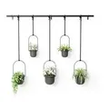 1018086-040 - TRIFLORA Großer Hängeblumentopf 5er Set, schwarz
