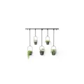 1018086-040 - TRIFLORA Großer Hängeblumentopf 5er Set, schwarz