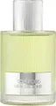 Tom Ford Beau De Jour Eau de Parfum 100ml Parfüm
