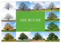 Tatjana Balzer | Die Buche: Jahresplaner 2026 (Wandkalender 2026 DIN A3...