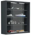 VCM Hängevitrine Hängevitrine Wandvitrine Sammel Deko Agisa S