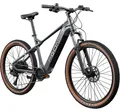 Agon Alpha E Bike Mountainbike dunkelgrau