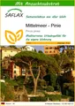 SAFLAX - Samen und Substrat - Mittelmeer - Pinie - 6 Samen