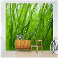 Bilderdepot24 Fototapete Landschaften Morgentau Gräser Tropffen Grün Natur Wanddeko, Glatt, Matt, (Vliestapete inkl. Kleister oder selbstklebend), Wohnzimmer Schlafzimmer Küche Flur Motivtapete Vliestapete Wandtapete grün 2.4 m x 2.4 m