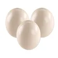 africX 3 Straußeneier aus Südafrika - 1A Qualität - Straußenei - Größe ca. 13-15cm - naturbelassen, entleert, ausgeblasen und gereinigt