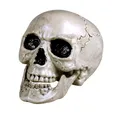 Boland Dekoobjekt Totenkopf Schädel 'Maxilla' beweglich - 17 x 17 x