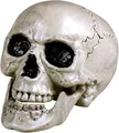Gadget -D- Boland: Skull Maxilla With Movable Jaw H. Teschio Con Mandibola Aprib