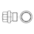 Reyher  910 Verschluss-Schraube G 3/8" verzinkt (50 Stück)