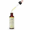 BACHBLÜTEN White Chestnut Tropfen 20 ml PZN00170104