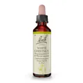 BACHBLÜTEN White Chestnut Tropfen 20 ml