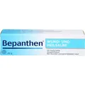 BEPANTHEN Wund- und Heilsalbe 01580241