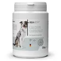 REAVET Calcium Carbonat 250g für Hunde, Katzen Calcium für Gelenke & Knocken