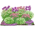 Bio Stauden-Set Sonnenzeit Landlust Kollektion 18 Pflanzen je 5-20 cm, Dehner