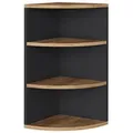 Vicco Eckregal, Anthrazit, Honigeiche, Holzwerkstoff, 4 Fächer, Formgebogen, 30x60x30 cm, Wohnzimmer, Regale, Eckregale