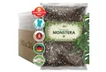 OraGarden Spezialerde Monstera Erde