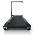 KingSmith Walkingpad X23 (TRX23F)