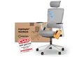 Ergotopia Bürostuhl ergonomischer Schreibtischstuhl NextBack, Drehstuhl mit 3D Armlehnen & verstellbarer Kopfstütze