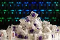 857372006525 Glorious Kailh Pro Purple Switches (120 Stück)