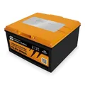 Liontron LiFePO4 Akku LX 12,8V 300Ah Arctic Smart BMS mit Bluetooth