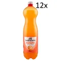 12x San Benedetto Allegra Italienisches Erfrischungsgetränk Einweg PET 1,5Lt