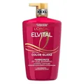 L'Oréal Paris Elvital XXL Farbschutz Shampoo für coloriertes, getöntes oder gest