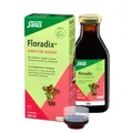 2x FLORADIX Eisen für Kinder Tonikum 250 ML