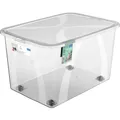 Rotho Kunststoff AG Rotho LONA Aufbewahrungsbox mit Deckel, transparent, Praktische Kunststoffbox schützt Inhalt vor Staub und Feuchtigkeit, Füllmenge: 50 Liter 1047200096
