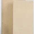 Firefix Schamottestein 250x124x64 mm