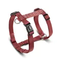 Wolters Geschirr Professional für Mops & Co., Größe:M 40-55 cm x 15 mm, Farbe:rost rot