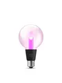 Philips Hue Lightguide G95 - Smarte Lampe E27
