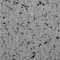 FLOXXAN Baumwollputz California 201 - Farbchips: Anthrazit - Farbe weiß - Putz Tapete Flüssigtapete