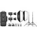 Godox LA300R Litemons LED Light RGB  Kit 2 schwarz