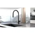 hansgrohe Talis M54-210 Küchenarmatur 72800670 mattschwarz, mit Ausziehbrause