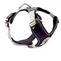 WOLTERS Geschirr Active Pro