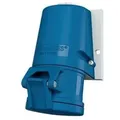 1341 Cee Wandsteckdose 16 A 3polig 230 V 1 St. - Mennekes