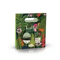 Helan, Kaffa, Handcreme und Nagelverstärkung, Set mit feuchtigkeitsspendender Duftcreme für Hände und Nägel, ideal für Geschenkideen für Damen, 90 ml, hergestellt in Italien